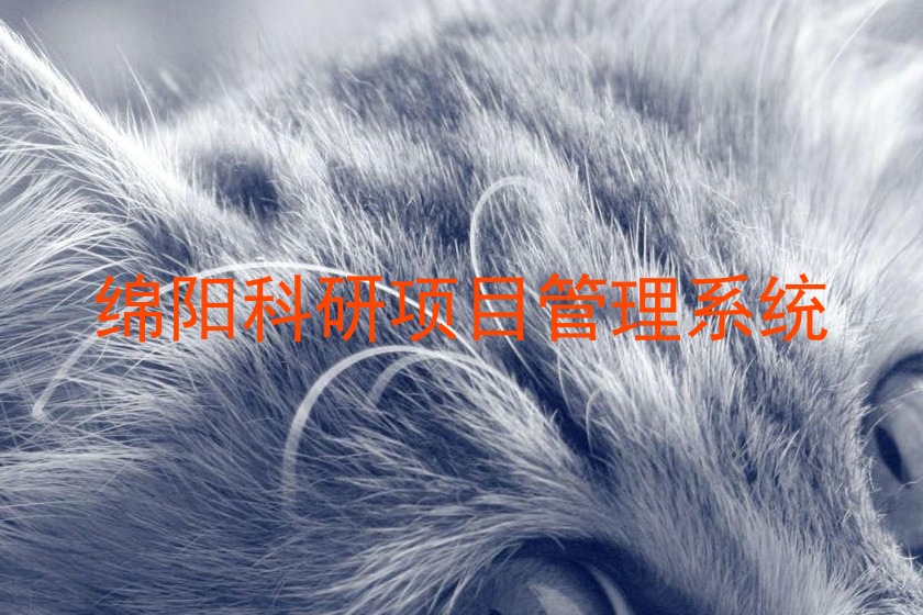 绵阳科研项目管理系统
