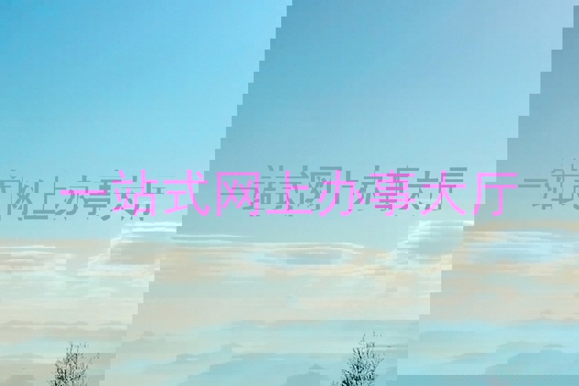 一站式网上办事大厅