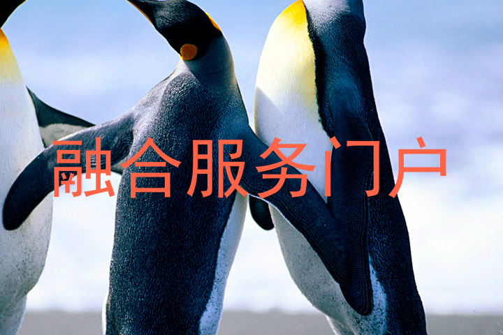 融合服务门户