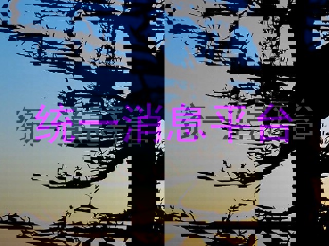 统一消息平台