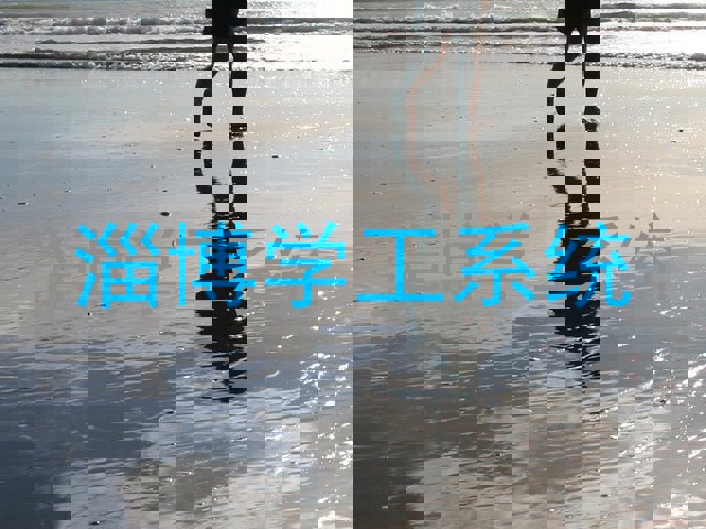 淄博学工系统