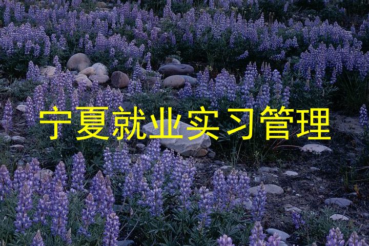 宁夏就业实习管理