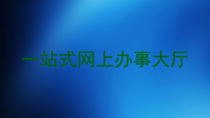 一站式网上办事大厅
