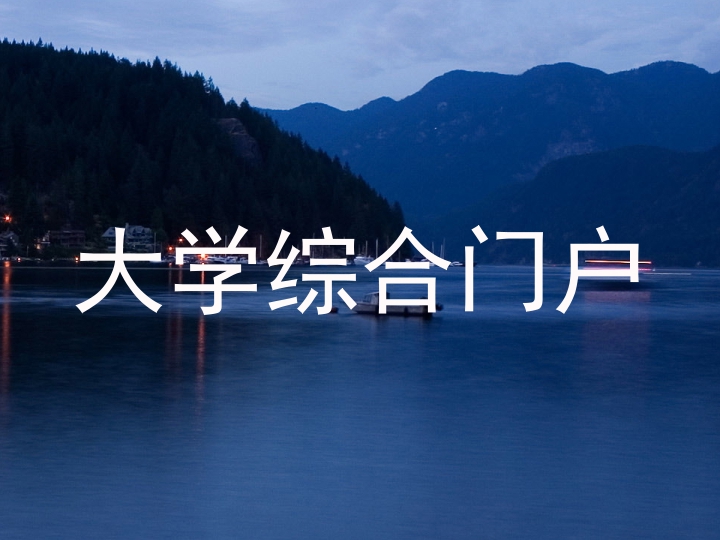 大学综合门户