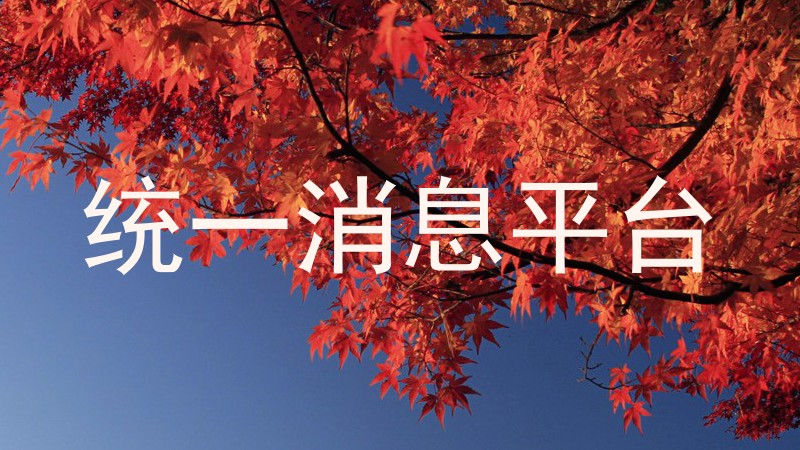 统一消息平台