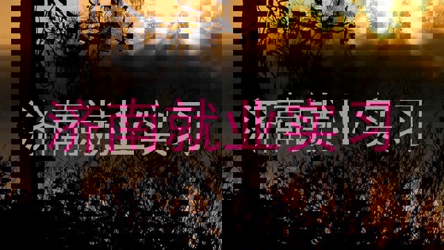 济南就业实习