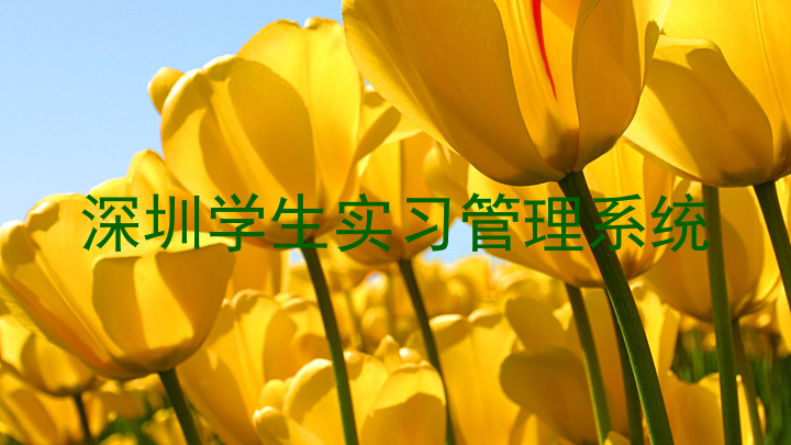深圳学生实习管理系统