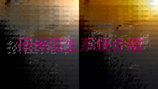 扬州招生系统介绍