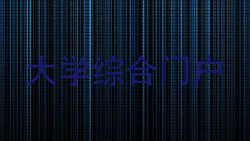 大学综合门户