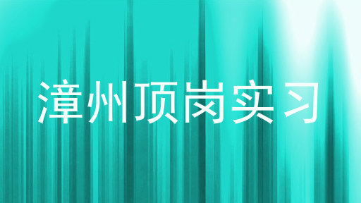 漳州顶岗实习
