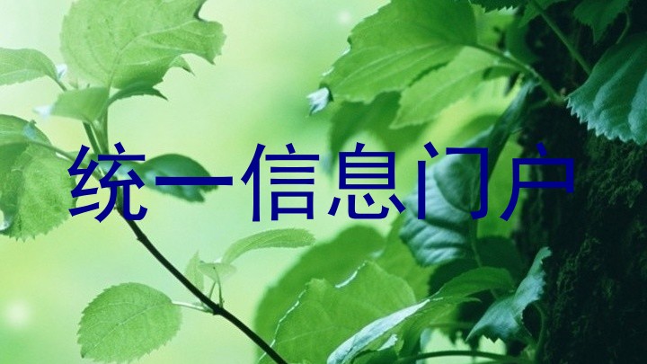 统一信息门户