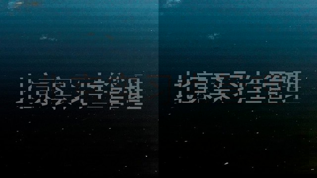 北京实习生管理
