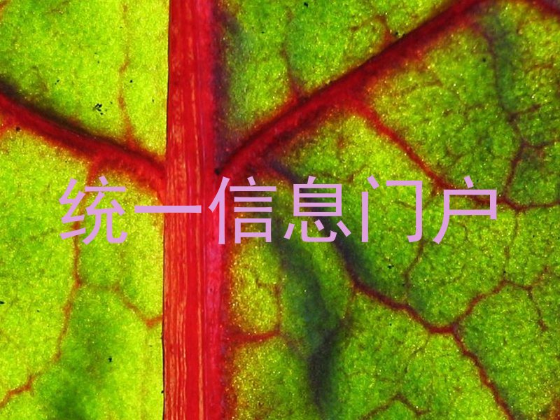 统一信息门户