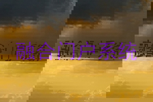 融合门户系统