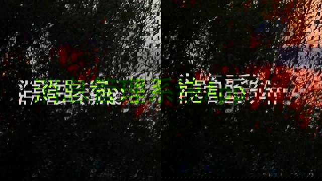 消息管理系统App