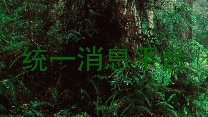 统一消息平台