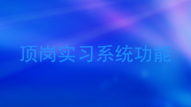 顶岗实习系统功能