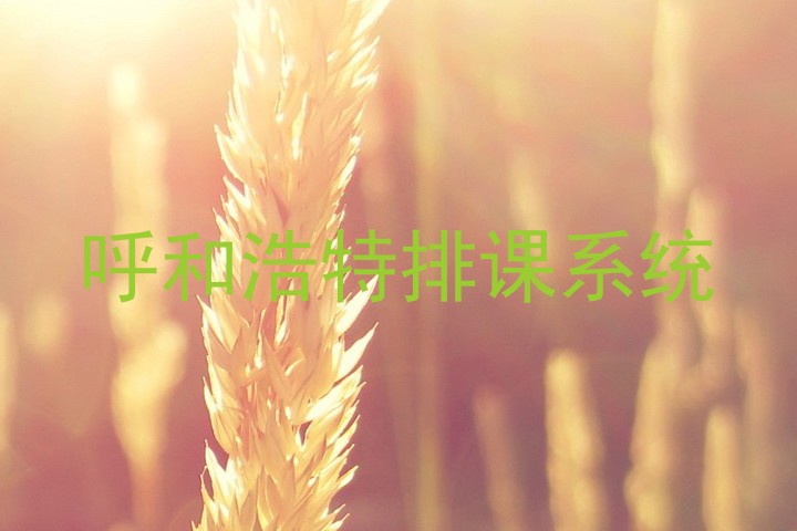 呼和浩特排课系统