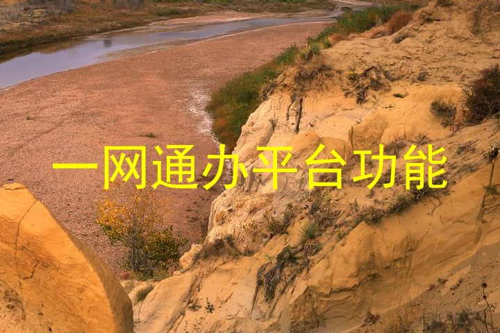一网通办平台功能