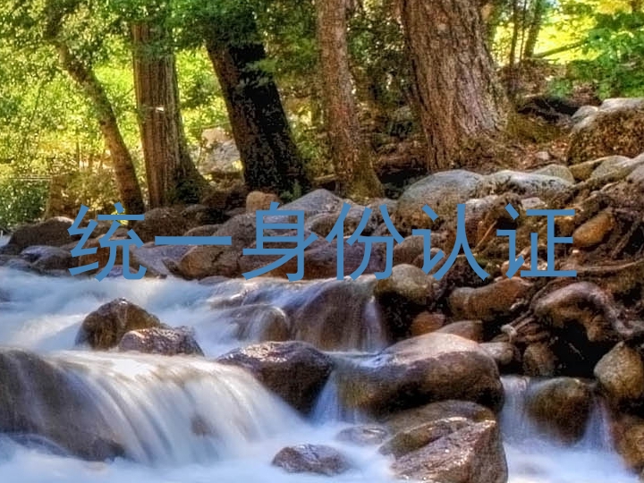 统一身份认证