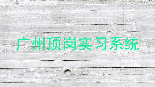 广州顶岗实习系统