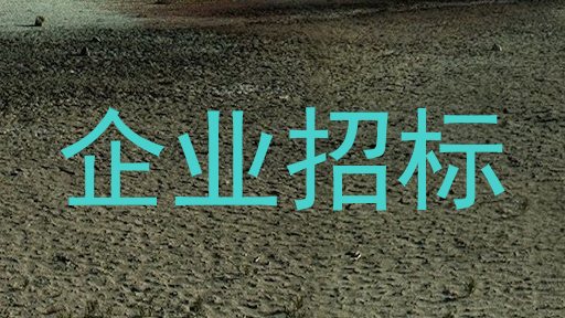 企业招标