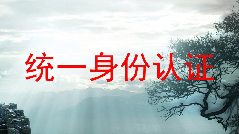 统一身份认证