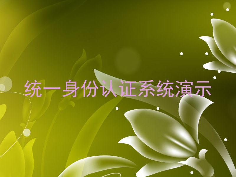 统一身份认证系统演示