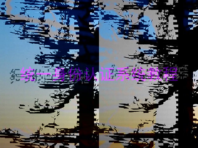 统一身份认证系统教程