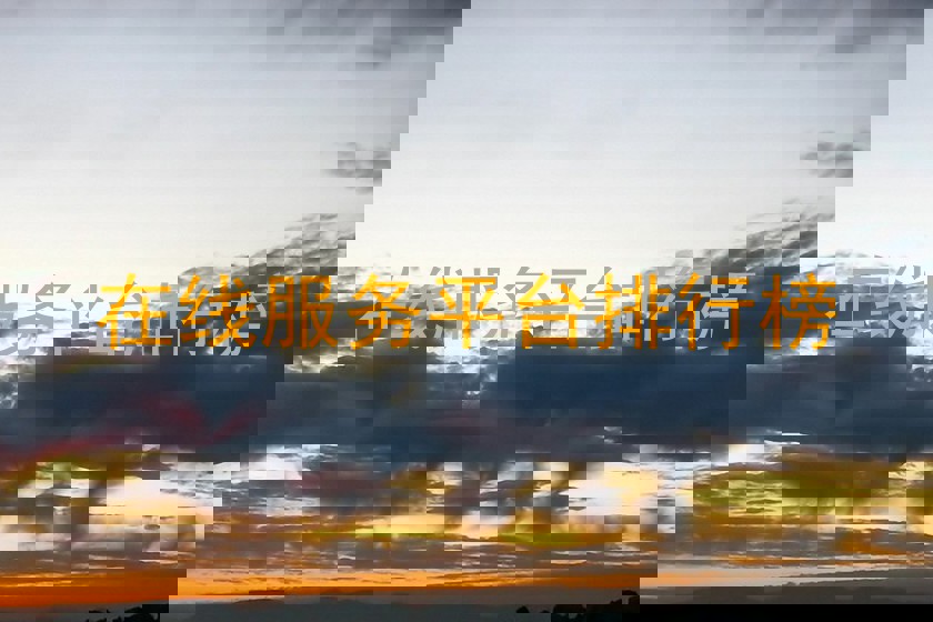 在线服务平台排行榜