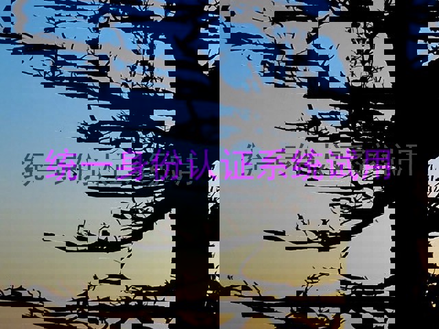 统一身份认证系统试用