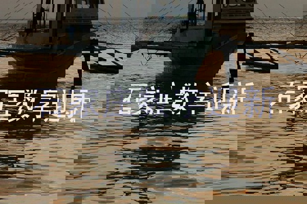 石家庄数字迎新
