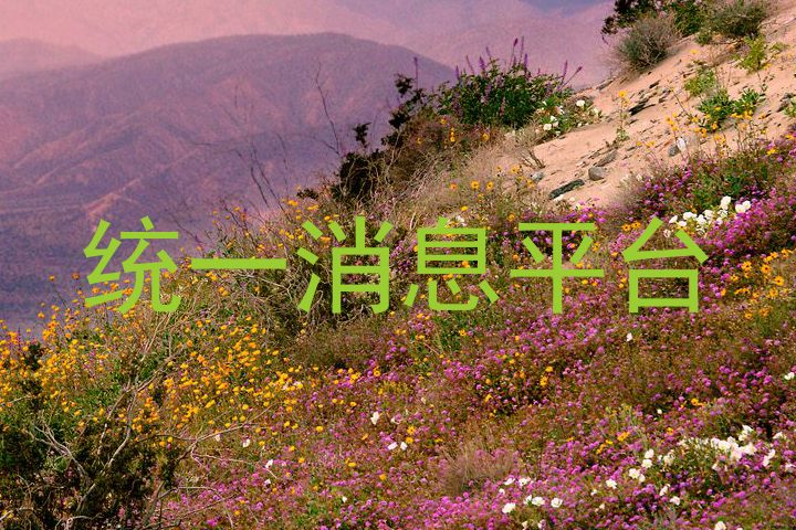 统一消息平台