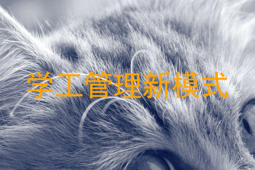 学工管理新模式
