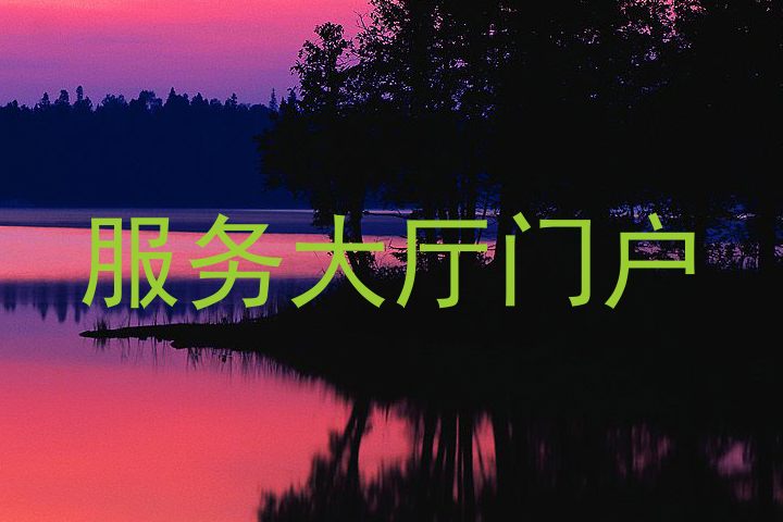 服务大厅门户