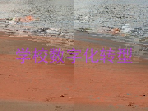 学校数字化转型
