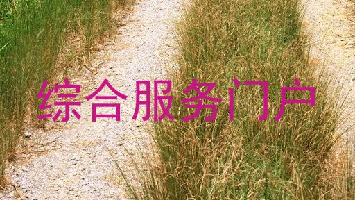 综合服务门户
