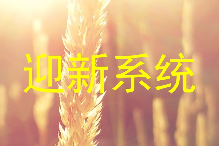 迎新系统