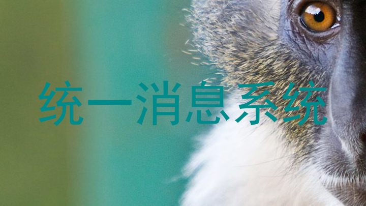 统一消息系统
