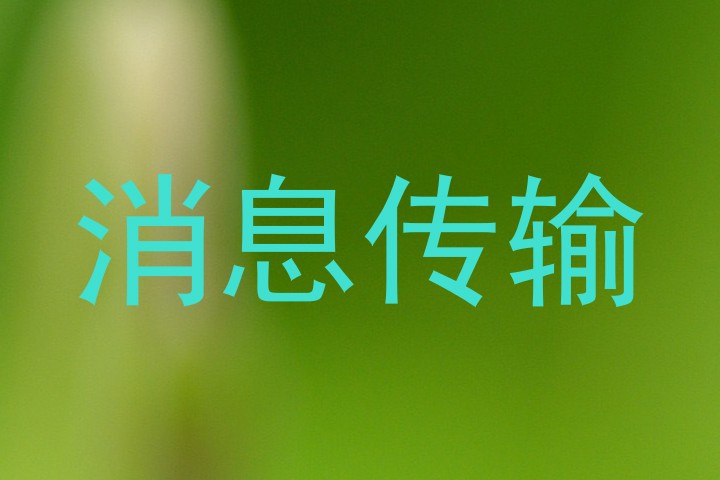 消息传输