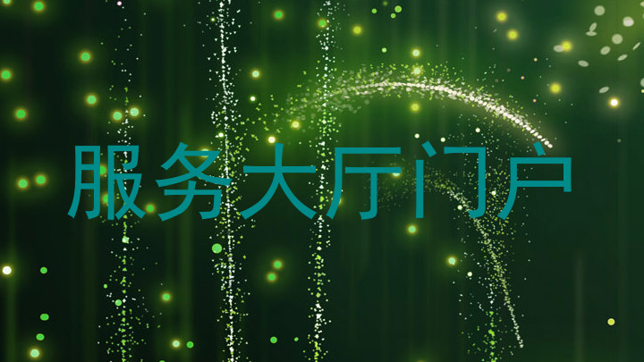 服务大厅门户