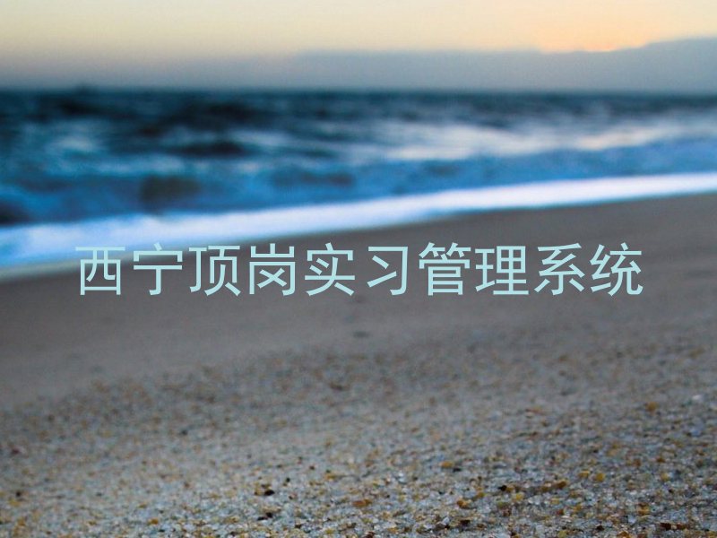西宁顶岗实习管理系统