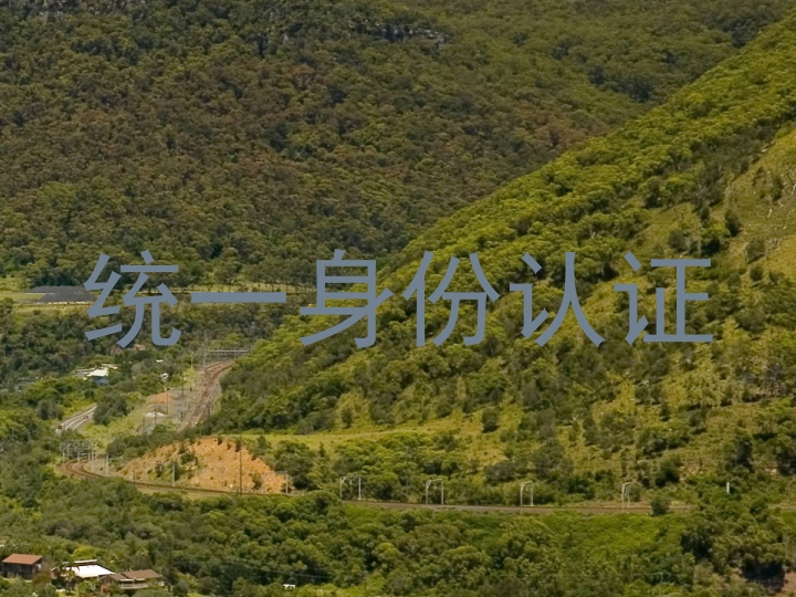 统一身份认证