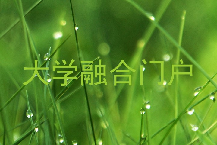 大学融合门户