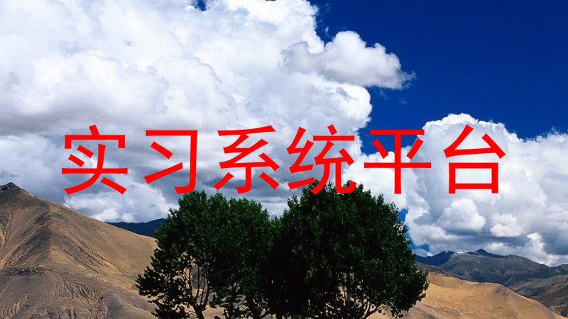 实习系统平台