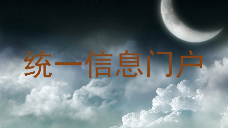 统一信息门户