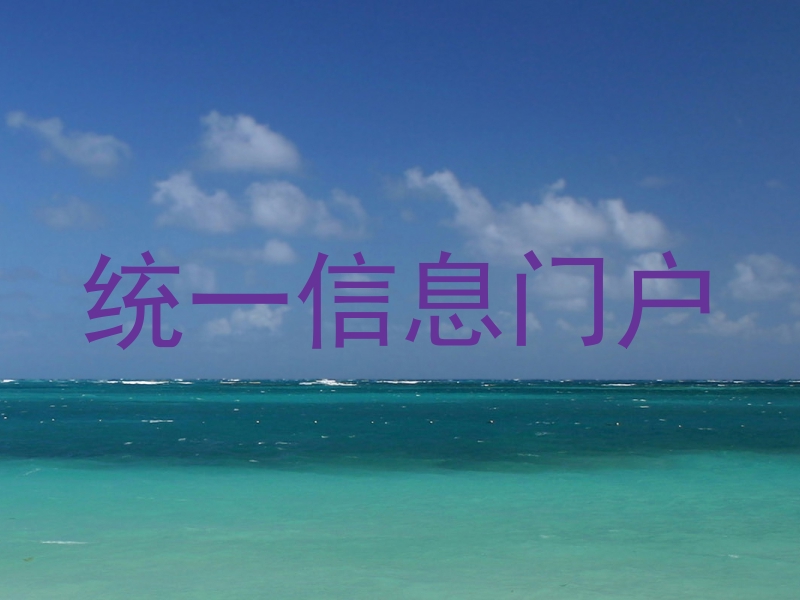统一信息门户