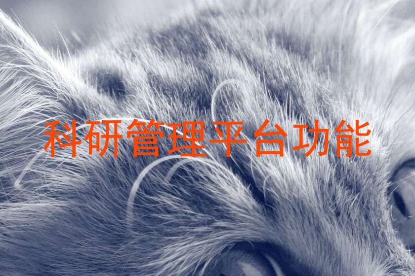 科研管理平台功能