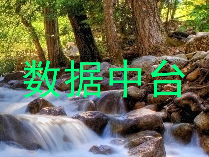 数据中台