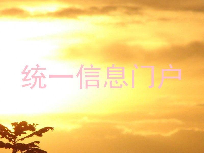 统一信息门户